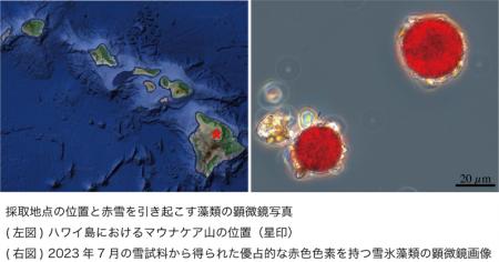 【大阪工業大学】世界で最も孤立した雪氷圏・ハワイ島