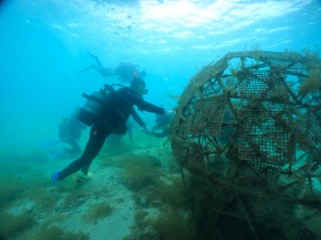 地域活性化に注力するTSP太陽が「里海珊瑚プロジェク