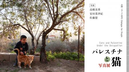 【「パレスチナと猫」写真展・開催のお知らせ】『パレ