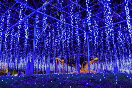 『その香り、春の記憶』～光と香りに包まれるイマーシ