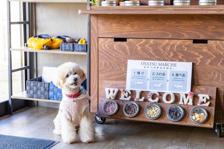 ”愛犬は家族”の想いから生まれた特別ごはん「モン・ク