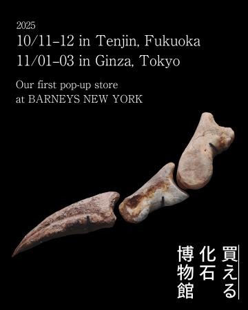 【東京＆福岡】本物の恐竜、古生物の化石が購入できる