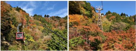 「身延山ロープウェイ 紅葉キャンペーン」2025年10月1