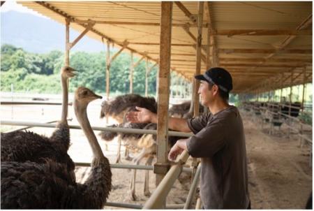 【次世代たんぱく源・ダチョウ肉の健康効果】吉野家ホ