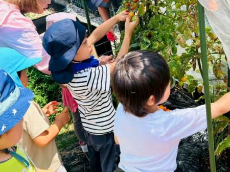 下北沢駅徒歩3分、都会で土に触れながら秋の収穫utf-8