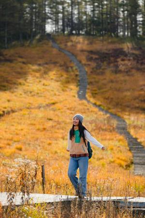 ”秋のトリプル絶景”ー入笠湿原が黄金色に染まる”草紅