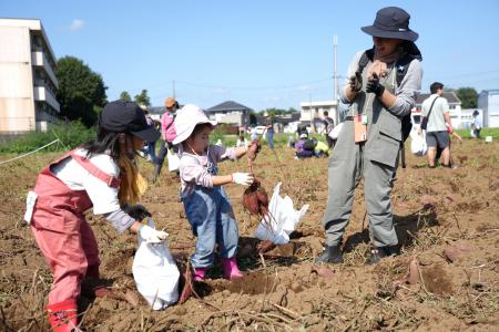 生産者と消費者でサツマイモとシイタケ収穫　「きのこ