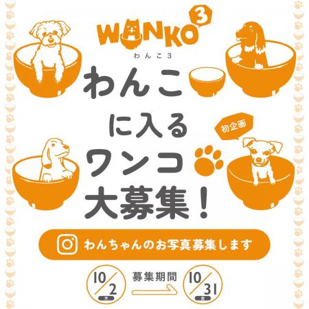 【TシャツのOJICO初企画】ウチのワンコがOJICOのTシャ