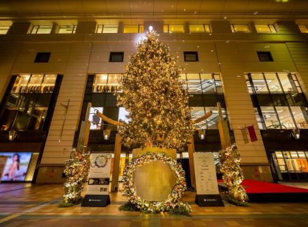 大丸福岡天神店「ネイチャーポジティブクリスマス」で