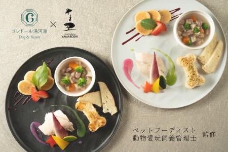 愛犬Journey。海と山で出会う、旅するごはん。～より