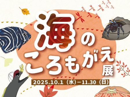 魚たちの衣替え事情をご紹介！四国水族館で『海のころ