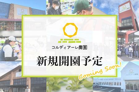 障がい者雇用支援サービス「コルディアーレ八尾農園」