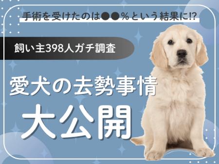 【飼い主398人に調査】愛犬の去勢に踏み切ったのは●●