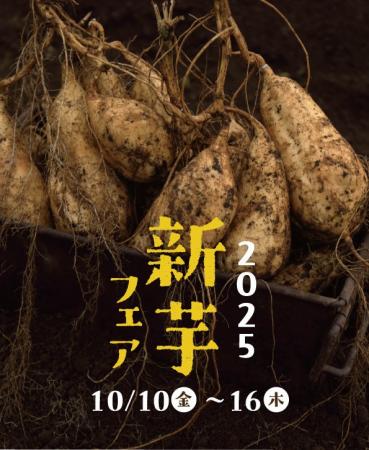 【フェア開催】新芋フェア2025！芋屋金次郎直営店舗に