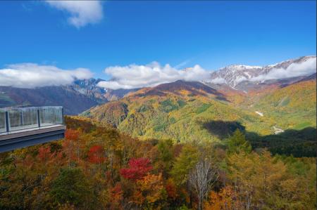 白馬岩岳マウンテンリゾート、三段紅葉シーズン到来に