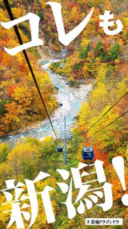 新潟・越後湯沢エリアと弥彦エリアの絶景と体験を首都