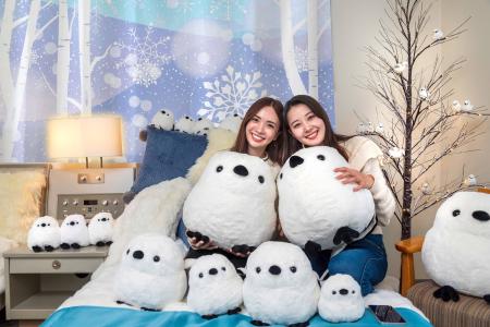 【新富良野プリンスホテル】雪の妖精「シマエナガ」と