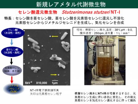 【芝浦工業大学】世界初、微生物を利用して廃太utf-8