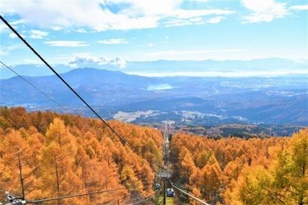 【妙高杉ノ原スキー場】妙高の紅葉を満喫「妙高杉ノ原