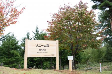 長野県佐久市大沢財産区における森林整備活動拠点の名