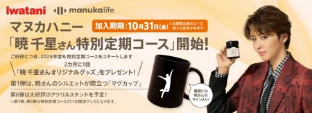 【イワタニアイコレクト】＜公式オンラインショップ/