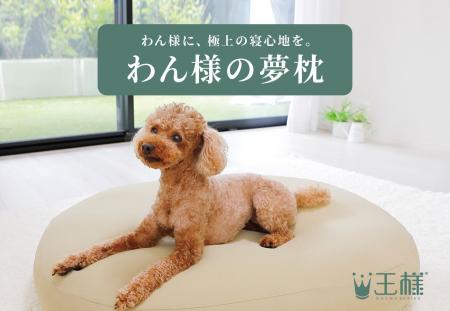 わん様に、極上の寝心地を。ロングセラー枕「王様の夢