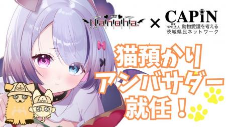 VTuber「Nanoha。」がCAPINの猫預かり愛護アンバサダ