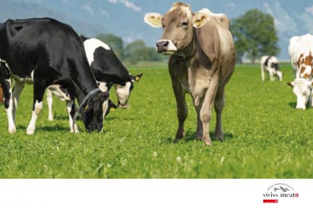 「swiss meat」、焼肉ビジネスフェア2025大阪に参加し