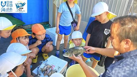 大村湾はどんな海？どんなお魚がいる？「大村湾おさか
