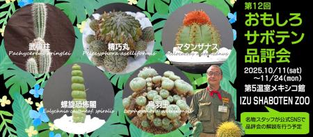 お気に入りのサボテンを選んで投票しよう♪「第12回 お