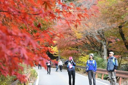 紅葉彩る”湯の山温泉”で地域の食と自然を体感「たべる