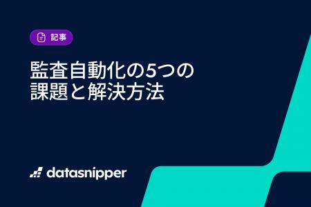 【最新版eBook公開】データスニッパー、監査自動化の5