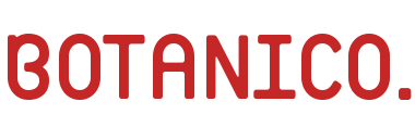 BOTANICO、DX・教育・人材領域でUI/UXデザインからマ