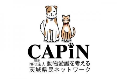 認定NPO法人CAPIN、寄付ページを刷新