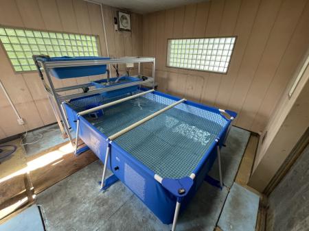 廃止した水道施設を活用した陸上養殖の実証事業utf-8