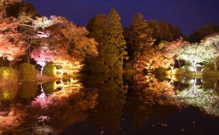 千年の森エリアを拡張し「紅葉ライトアップ」が開催決