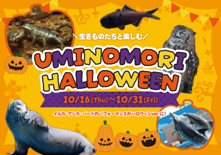 【仙台うみの杜水族館】生きものたちと一緒に楽しむハ