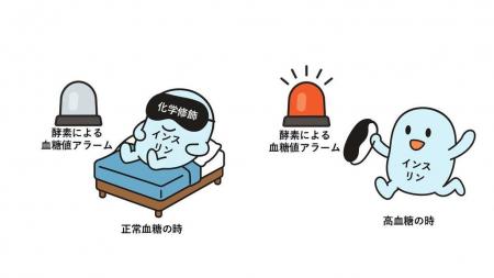 血糖値が合図！必要なときにだけ効くインスリンutf-8
