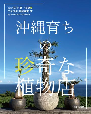 農園直送！ やちむん鉢とのコーディネートも楽しめる