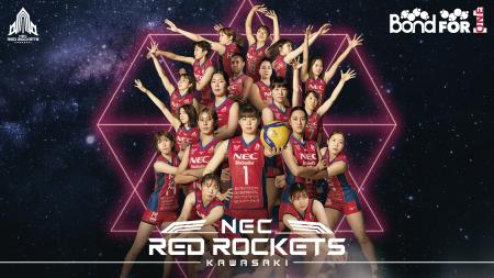 大同生命SV.LEAGUE WOMEN に加盟する女子バレーボール