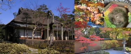 一条恵観山荘 入園券付き宿泊プラン販売
