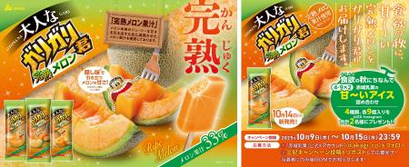 食欲の秋に、甘～い完熟メロンをガリガリ君がお届けし