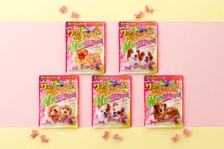11月1日は「犬の日」！ハートを“イヌく”「ワンワンダ