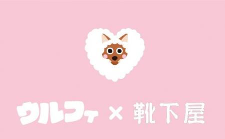 メ～テレのキャラクター「ウルフィ」×靴下屋のコラボ
