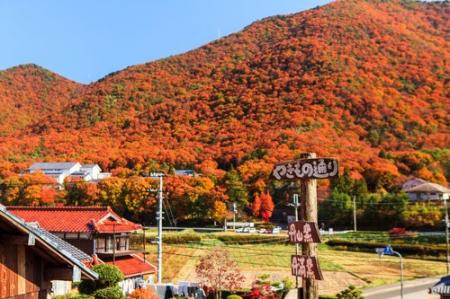 秋の丹波篠山で器と食を楽しむ「丹波焼陶器まつり　秋