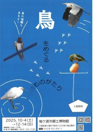 【千葉/袖ケ浦】企画展II「鳥をめぐる物語」を開催し