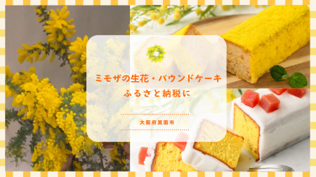 贈り物にミモザを。黄色が映えるミモザモチーフのパウ