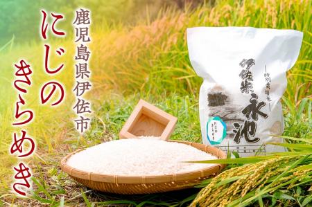 【鹿児島県伊佐市】注目のお米！「にじのきらめき」が
