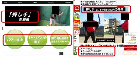 【注意喚起】 弊社公式サイト上の商品説明との混同に