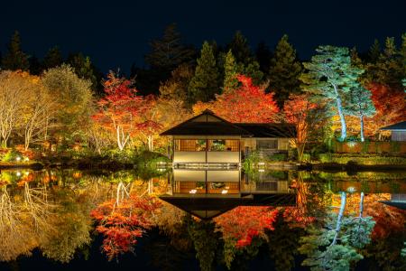 黄葉・紅葉まつり＆秋の夜散歩2025開催(国営昭和記念
